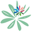 fleur