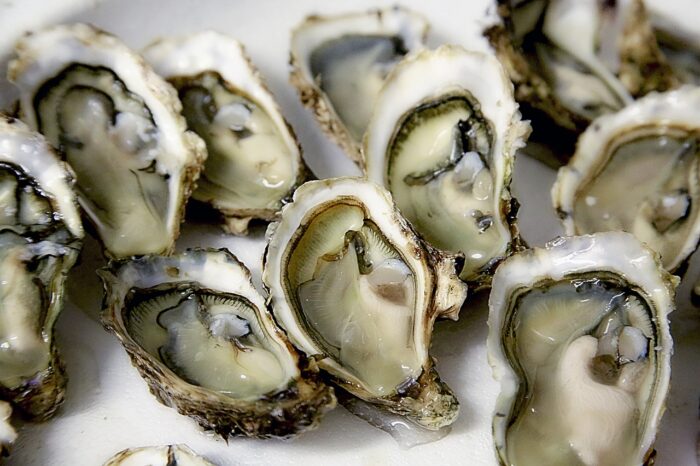 Séjour gourmand avec dégustation Huitres en Charente Maritime Huîtres Marennes Oléron
