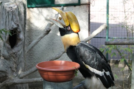 Zoo de la Palmyre
